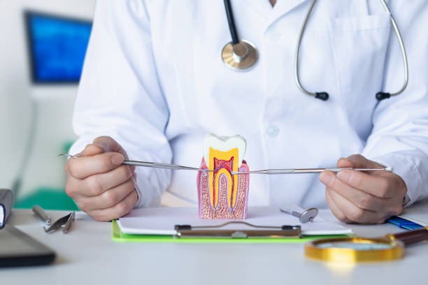 Best Emergency Dental Extractions in Van Horn, TX